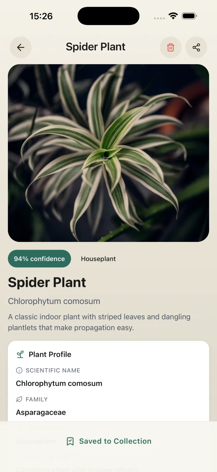 Plant Identifier detail view for Peace Lily showing photo, scientific name and '93% confidence' badge